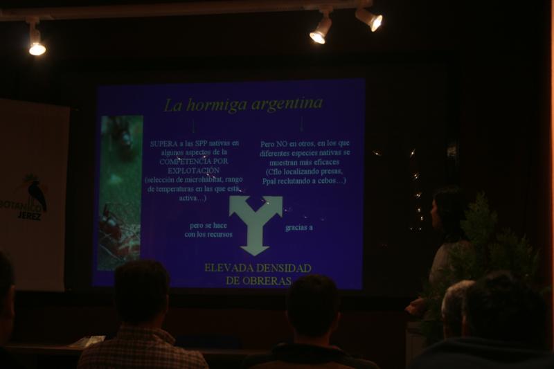 Imagen 027 (Medium)